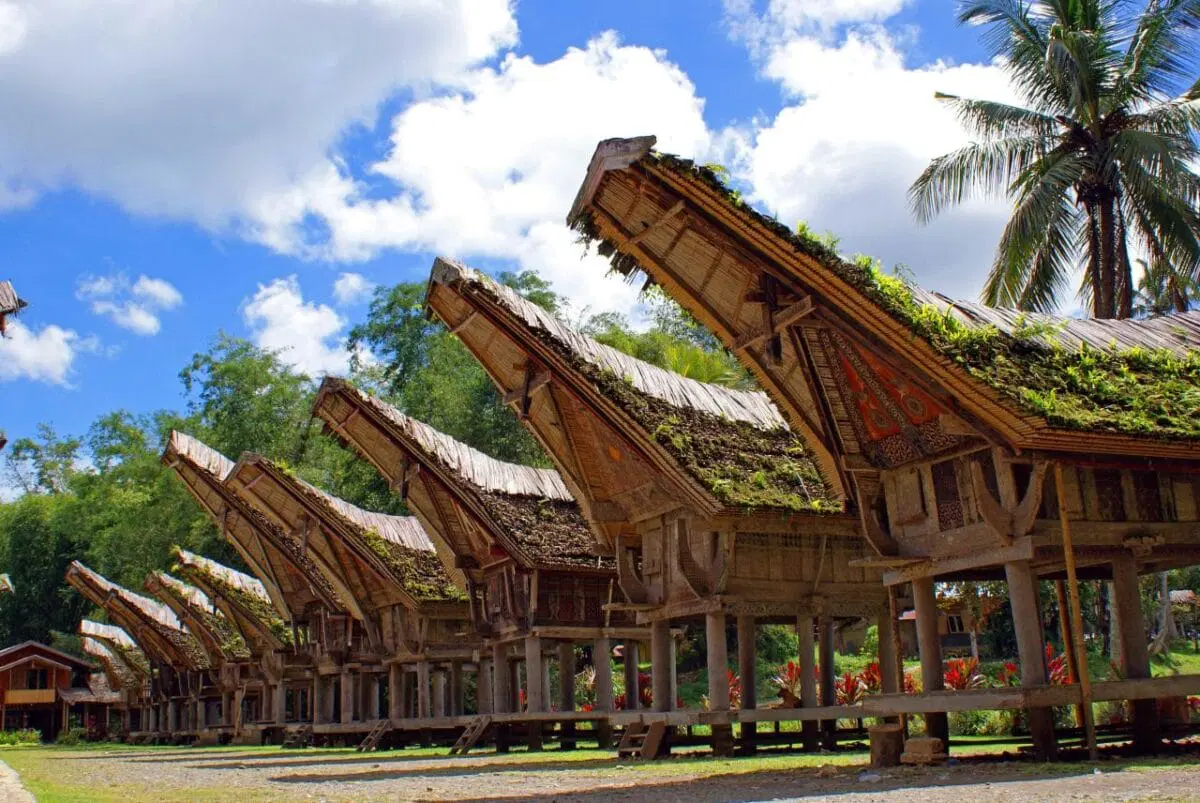jakarta-sulawesi tenggera