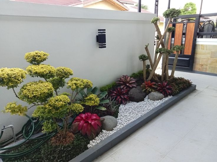 WhatsApp Image 2026-03-09 at 8.25.55 AM.jpeg