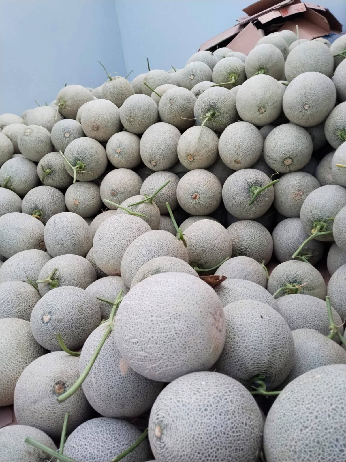 Empowering Farmers, Creating Jobs, Reducing Poverty Worldwide