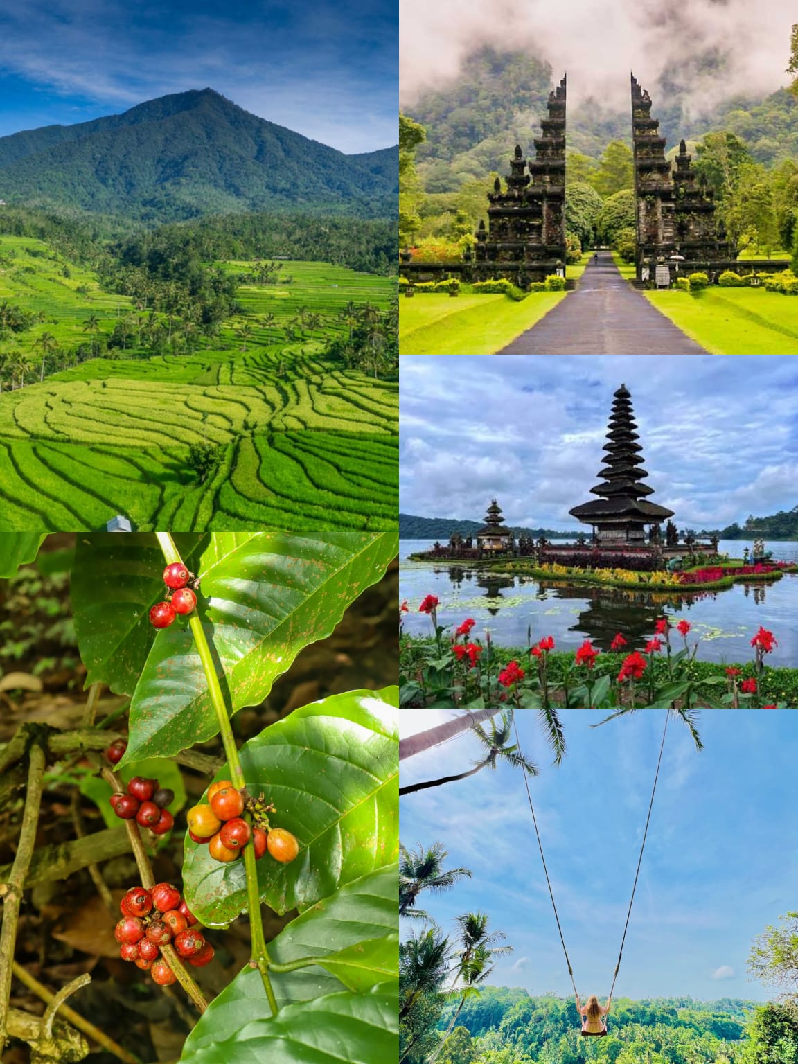Bali Scenic Highlands Tour – Nature, Culture & Iconic Views